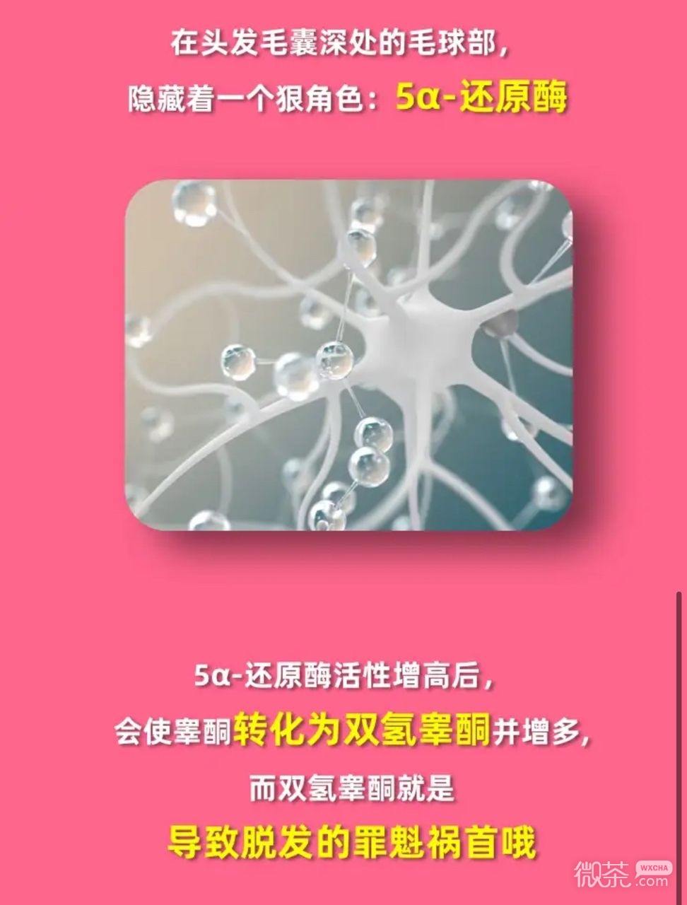 淘宝大赢家1月5日为什么有人秃头但眉毛胡子却超浓答案详情2024-淘宝大赢家1月5日为什么有人秃头但眉毛胡子却超浓答案分享2024图2