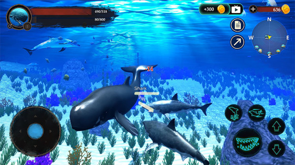 抹香鲸模拟器最新版图3